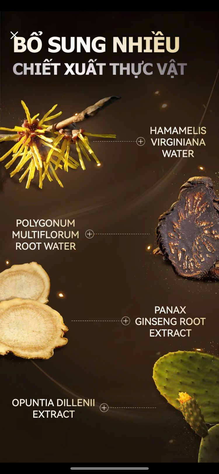 Chiết xuất thực vật