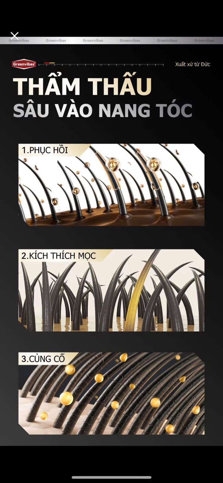 Cơ chế thẩm thấu vào nang tóc